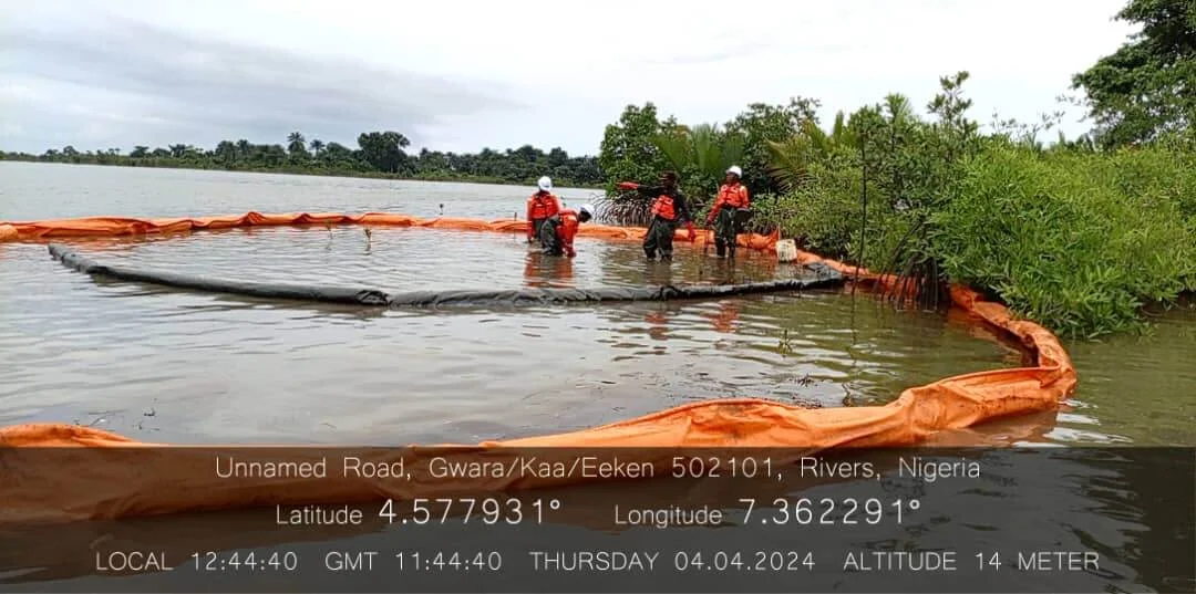 Field team conducting assessment